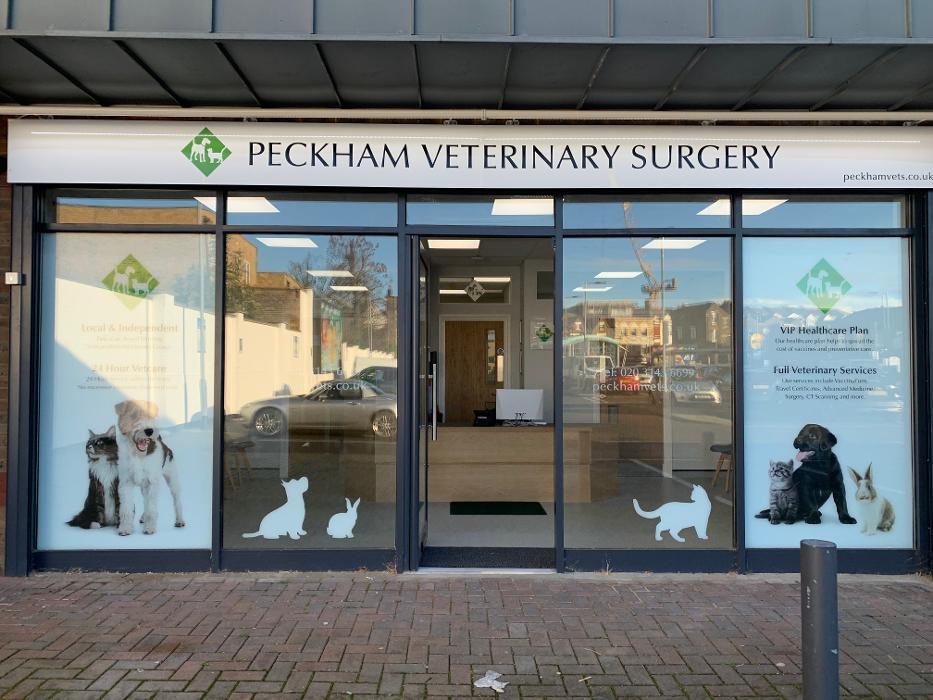 Peckham Veterinary Surgery