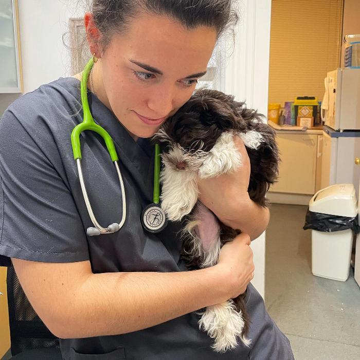 Elizabeth Street Veterinary Clinic