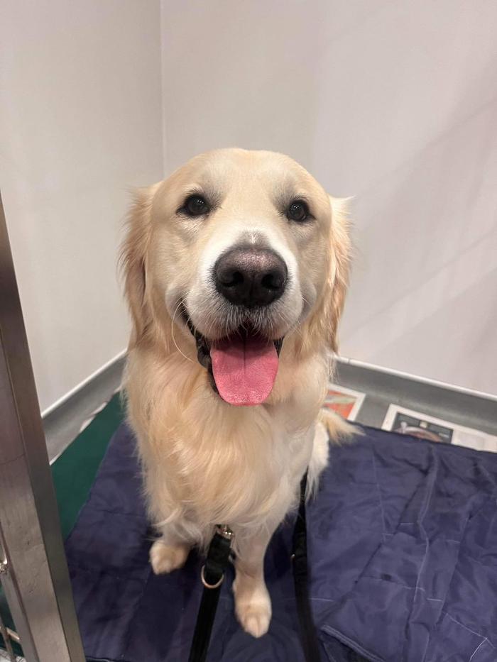 Ferring Street Vets, East Preston