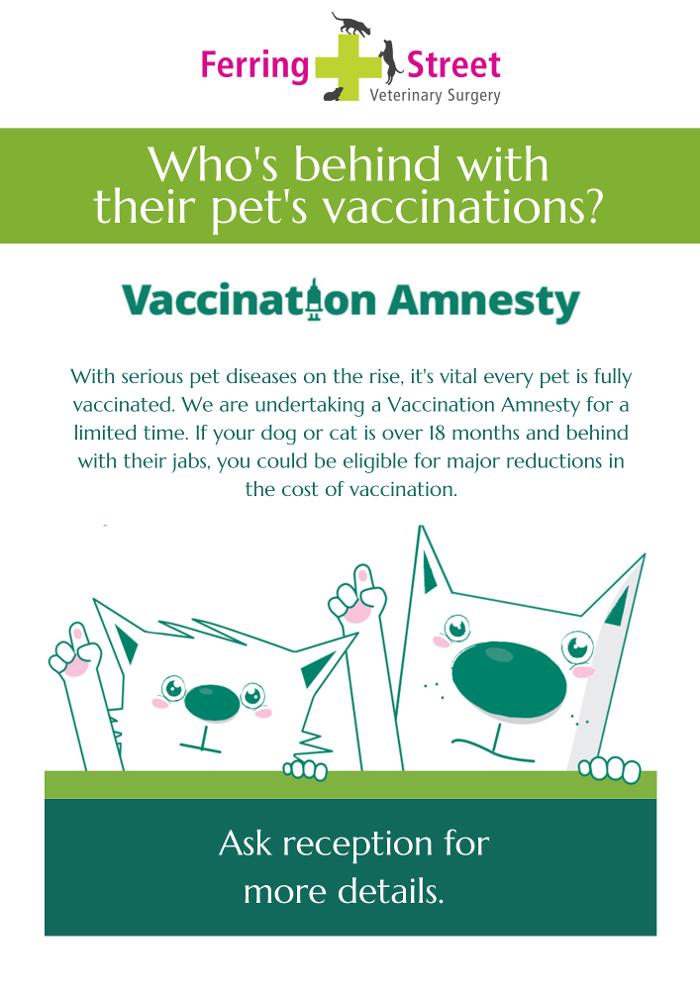 Ferring Street Veterinary Surgery