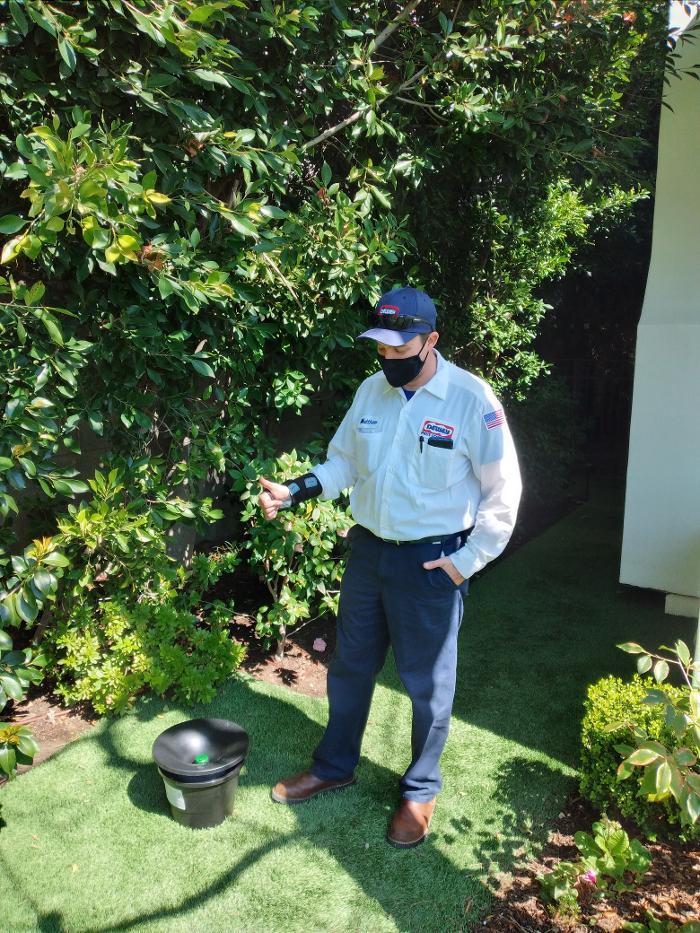 Dewey Pest & Termite Control