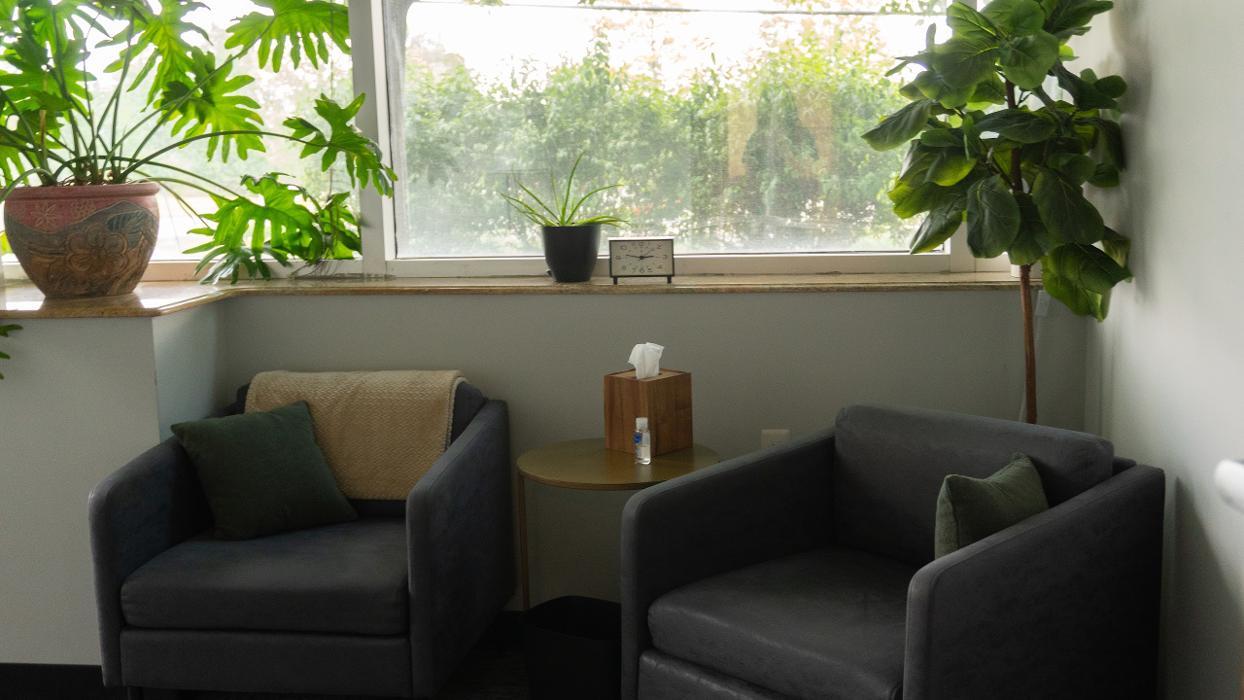 Pure Psychiatry Group