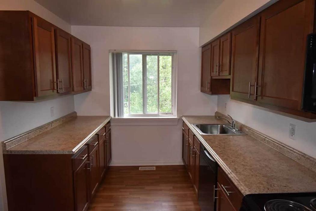 Mountain View Terrace