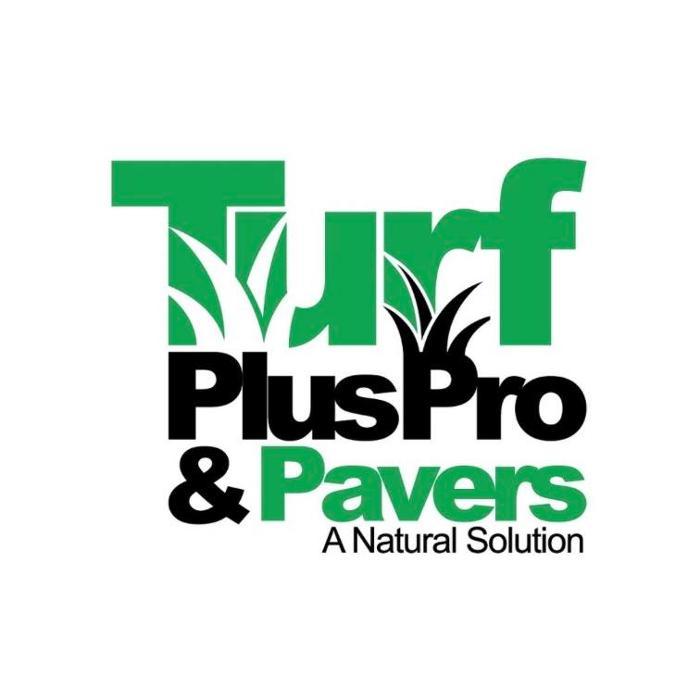 Turf Plus Pro