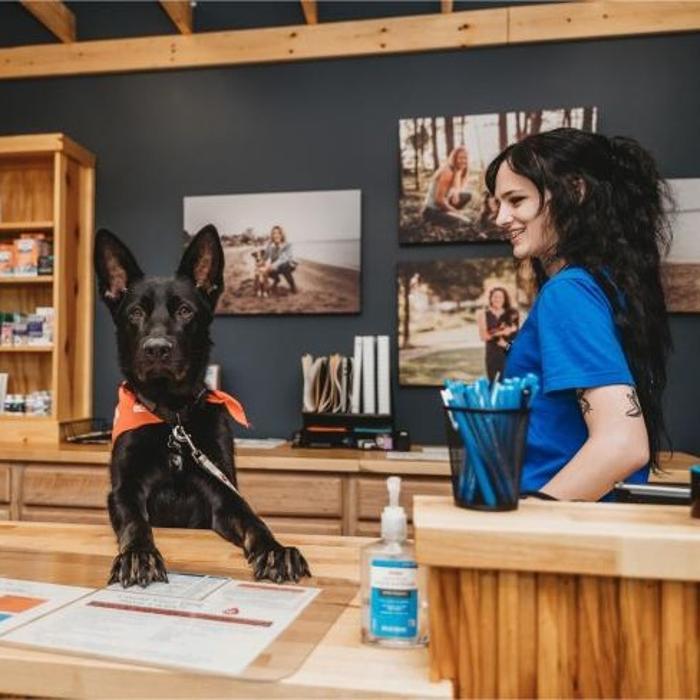 East Bay Pet Hospital