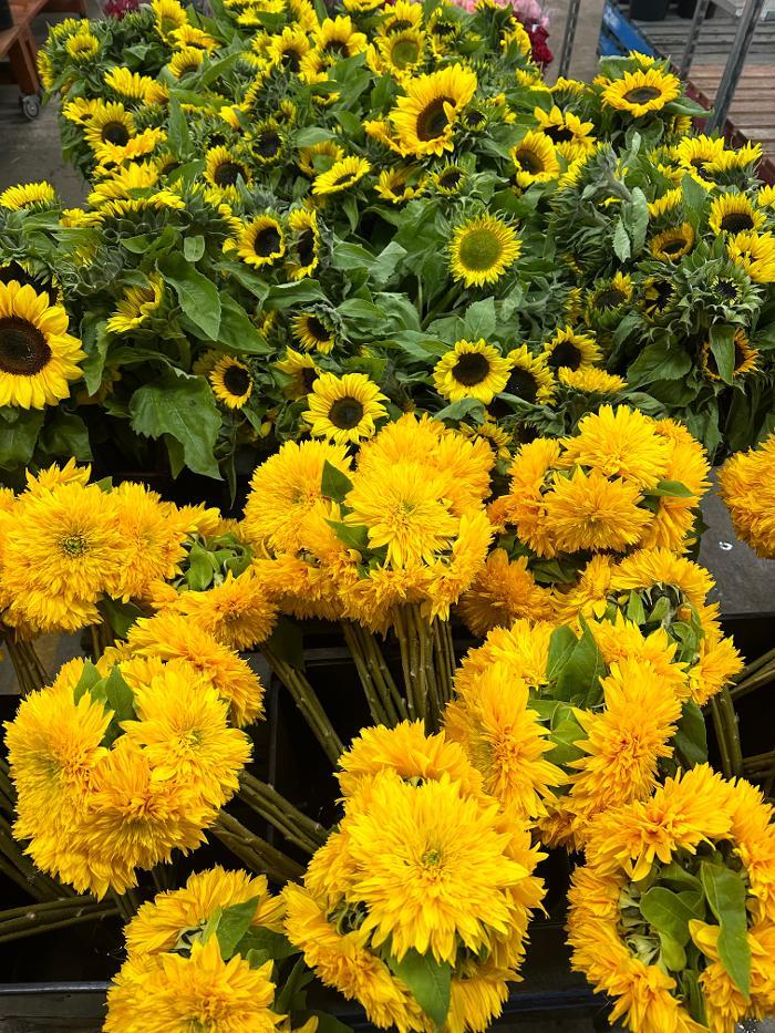 Redlands Fresh Flowers - Flower Shop Redlands