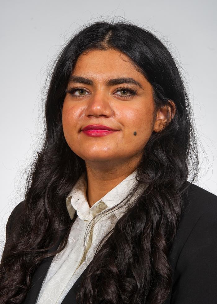 Bemisal Itmer, DDS, DMD