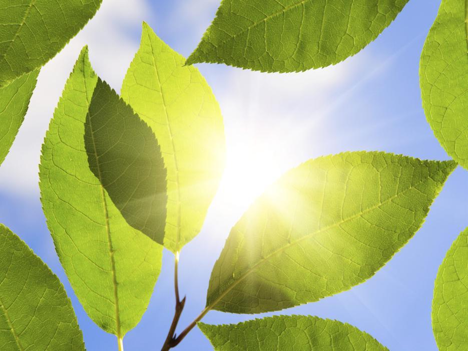 Martinizing Cleaners