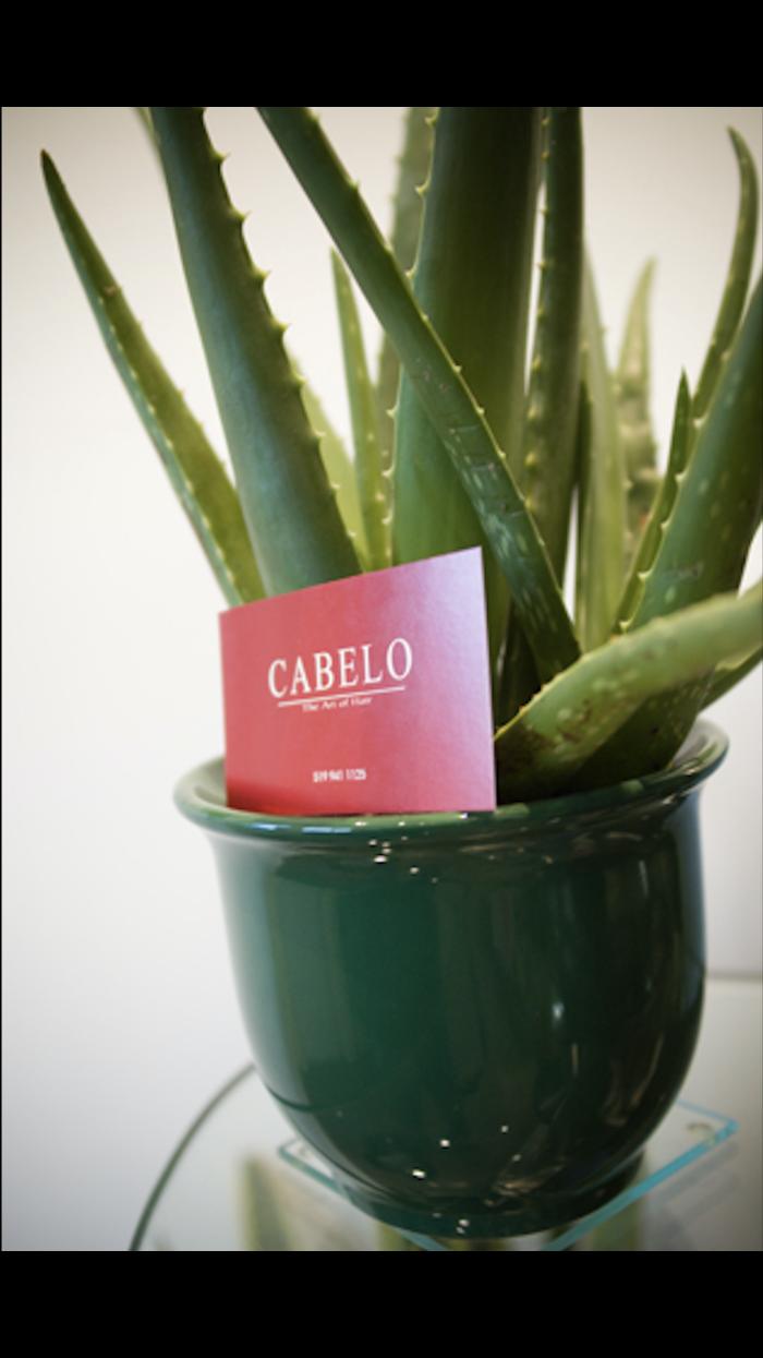 Cabelo-The Art of Hair