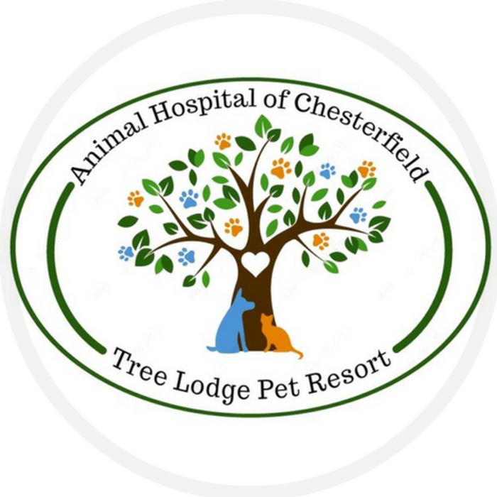 Animal Hospital of Chesterfield