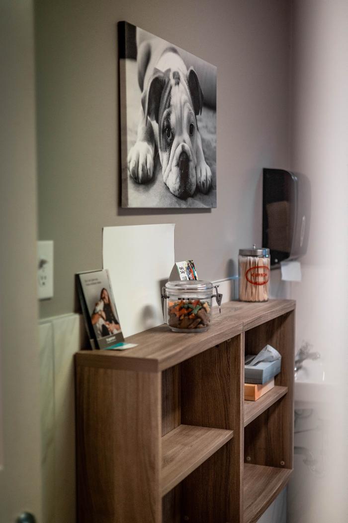 Affordable Veterinary Care Center