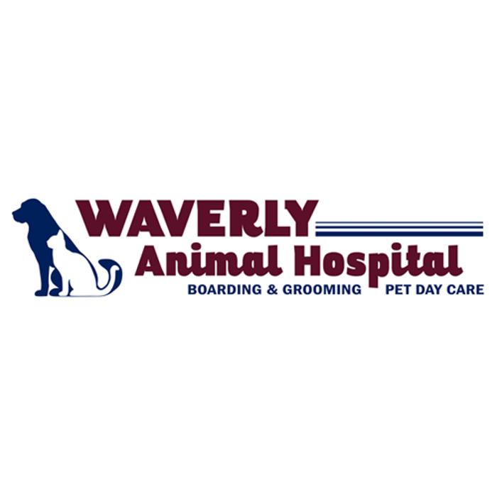 Waverly Animal Hospital Boarding Grooming & Wellness Center