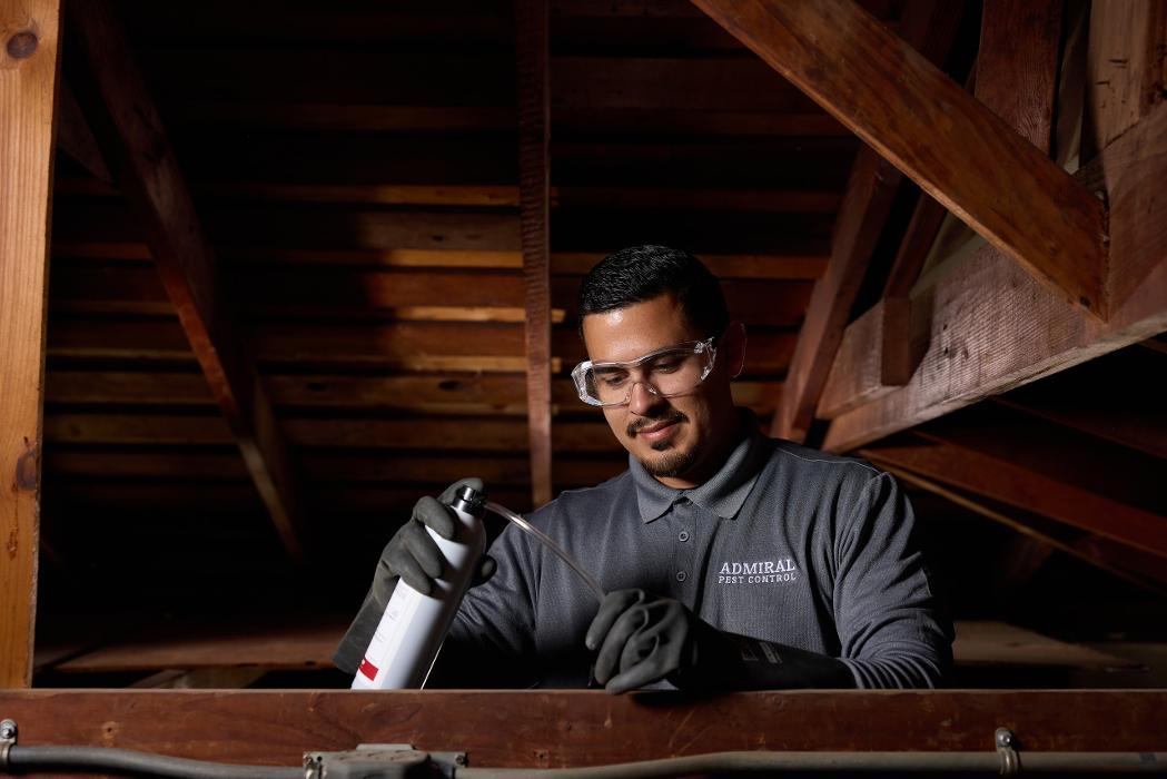 Admiral Pest Control