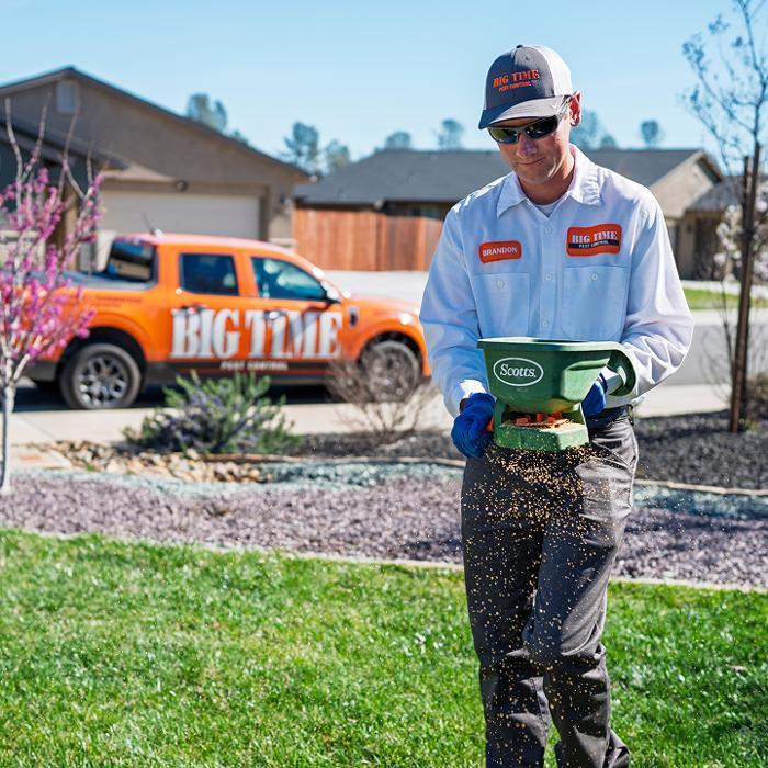 Big Time Pest Control