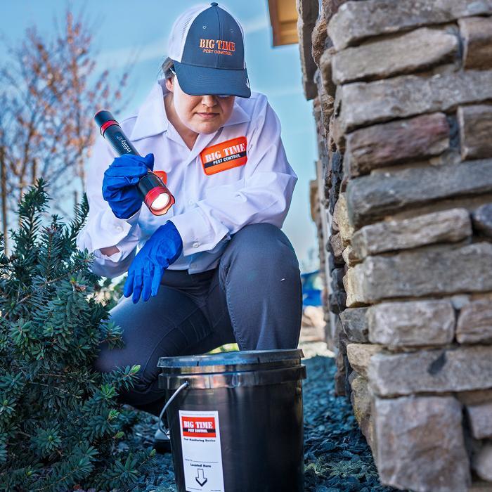 Big Time Pest Control