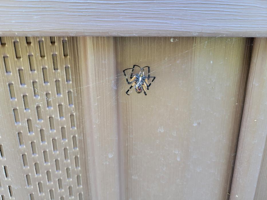 Marathon Pest Control