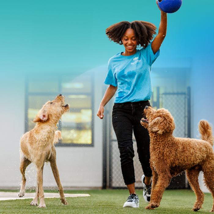 Pet Paradise St. Johns - WGV