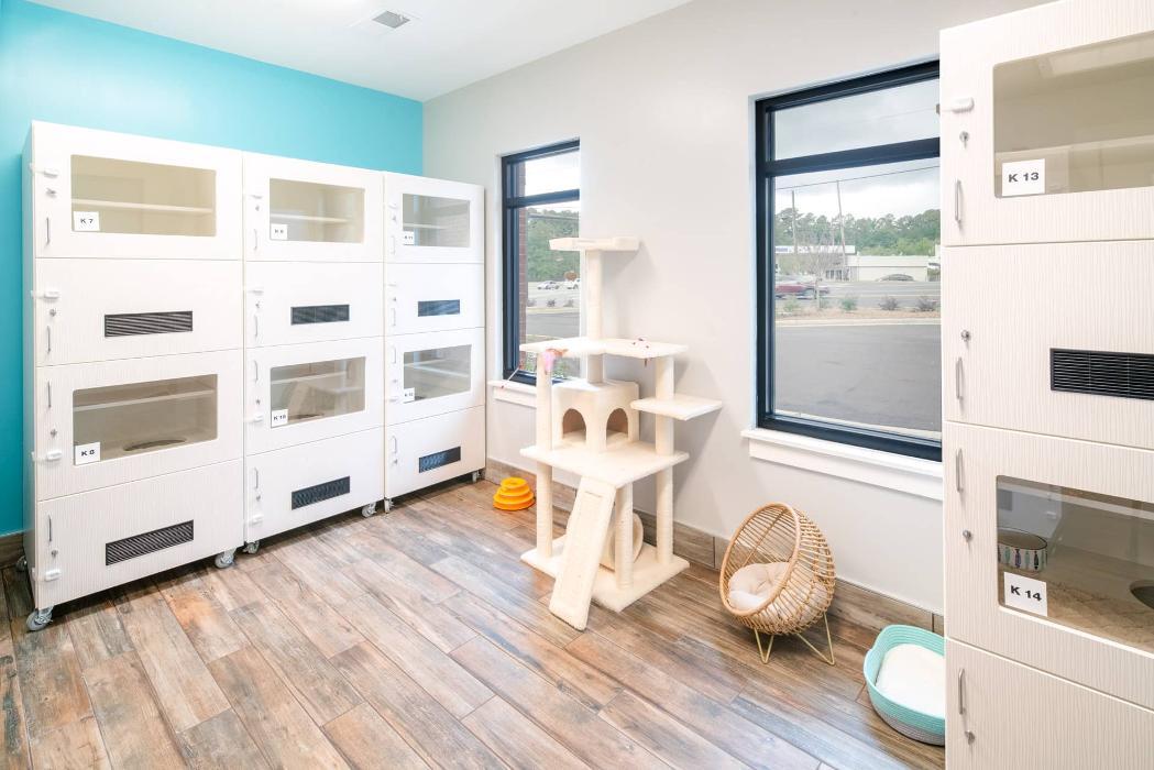 Pet Paradise Snellville