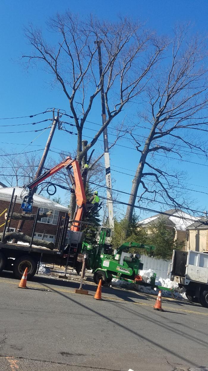A and H Tree Service