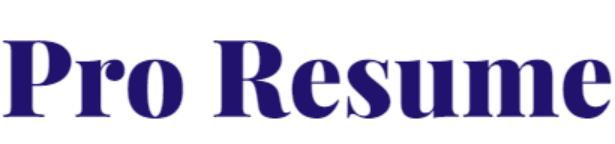 Pro Resume
