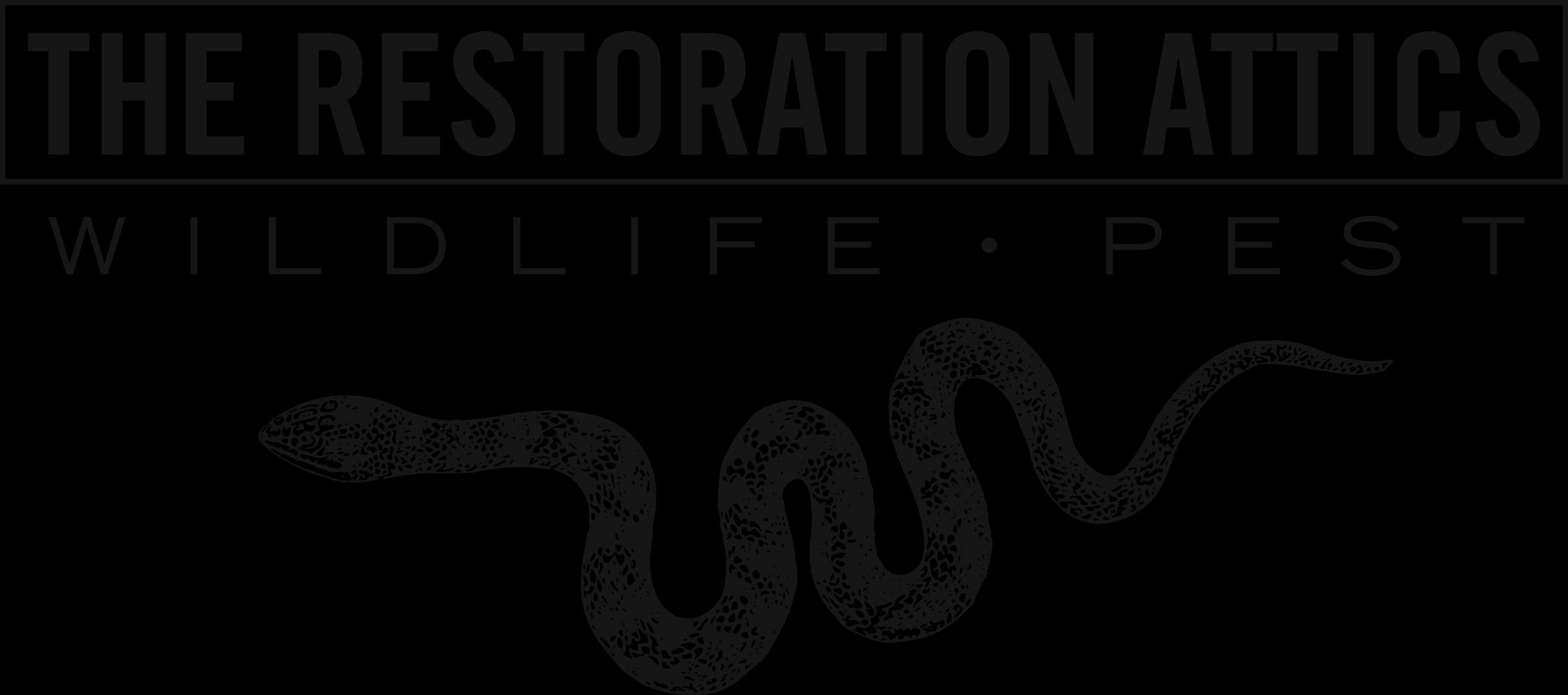 The Restoration Attics