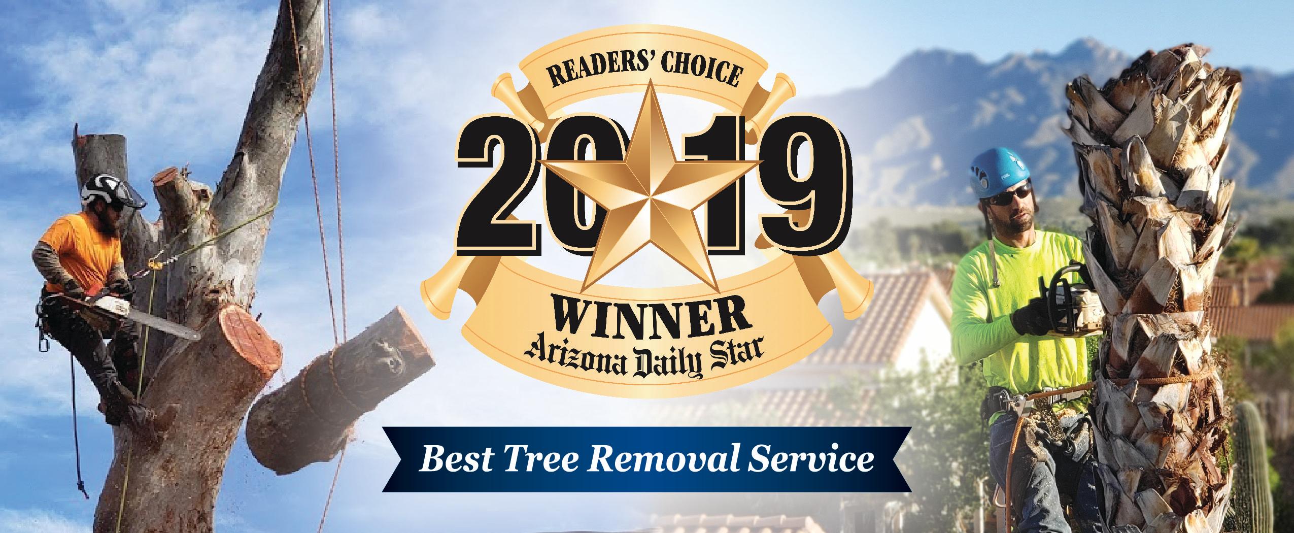 Branching Out Tree Service