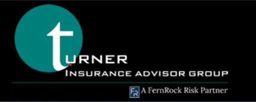 The Turner Advisor Group