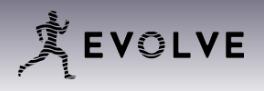 Evolve NY