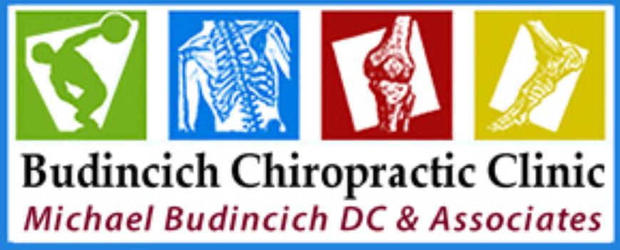 Budincich Chiropractic Clinic Inc