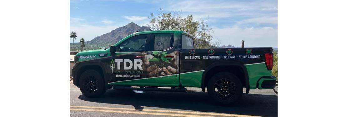 tdr tree solutions llc