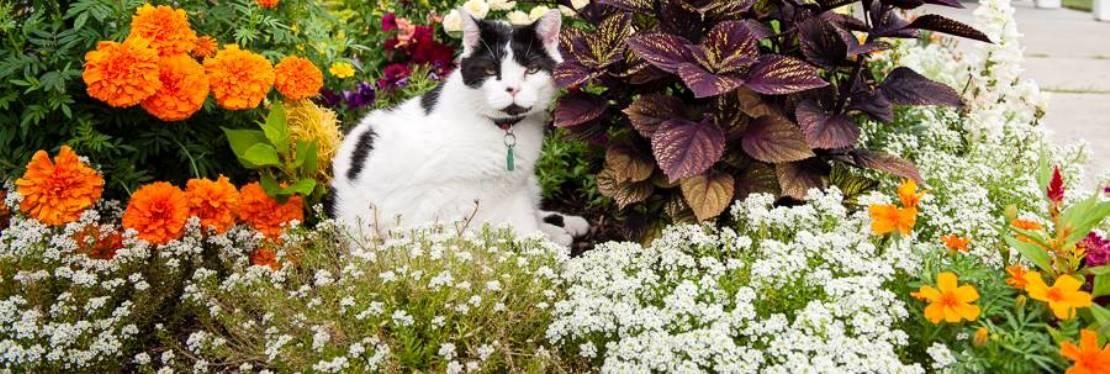 Bristol Animal Hospital