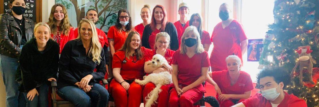 2nd Avenue Animal Hospital