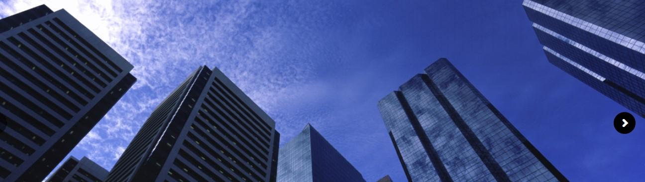 Asset Preservation Inc