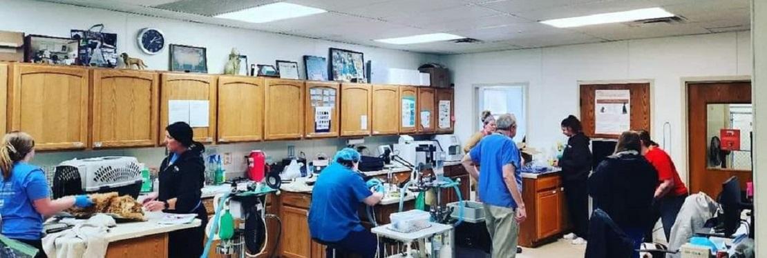 Brown Animal Hospital