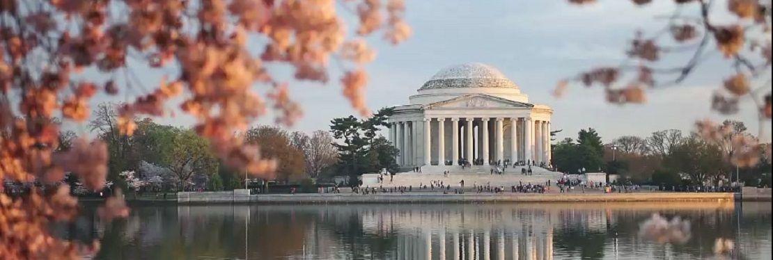 CapitolHill Consortium for Counseling & Consultation LLC (CCCC)