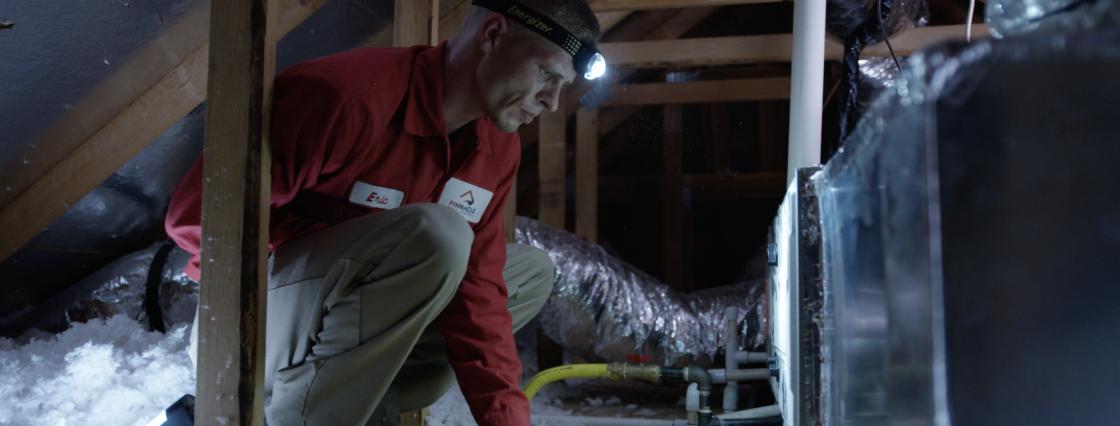 Pinnacle Pest Control