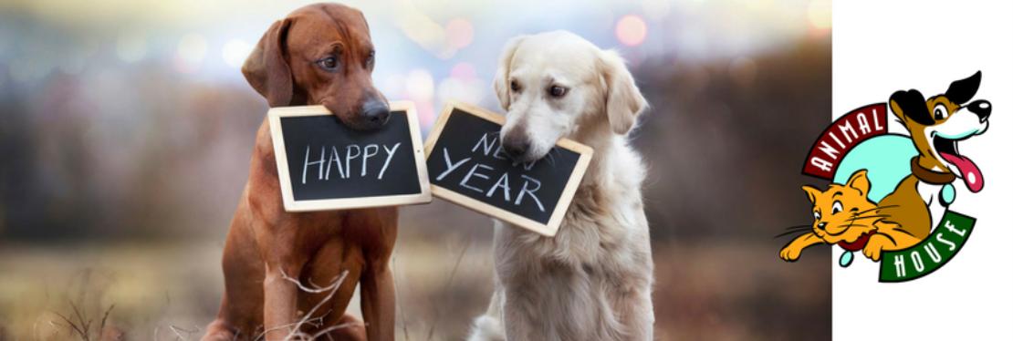 Dr. Domotor's Animal House Veterinary Hospital