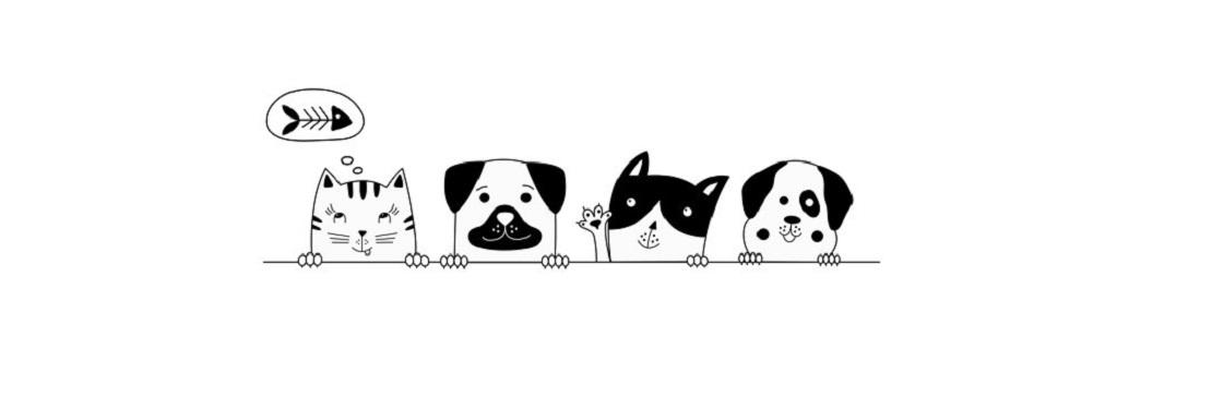 The Pet Hospital of Tierrasanta