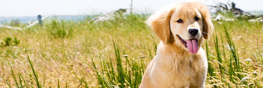 Heidt Veterinary Hospital