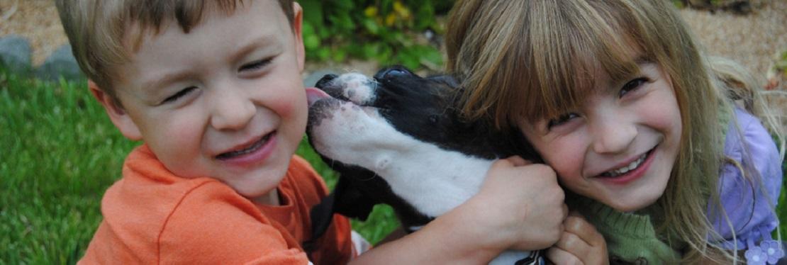 Poulsbo Animal Clinic