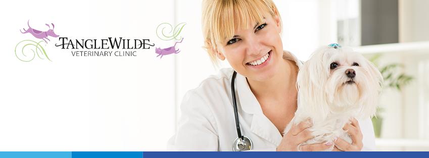 Tanglewilde Veterinary Clinic