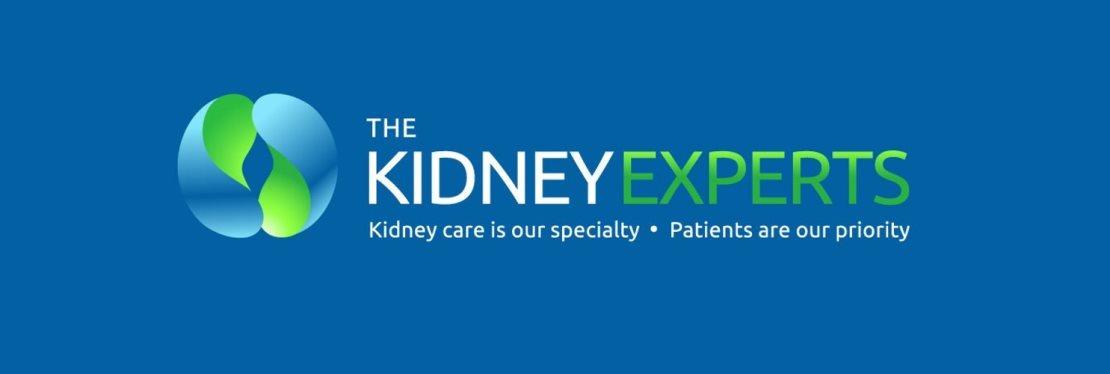 The Kidney Experts, PLLC