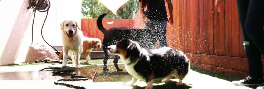 Wag Hotels - West Sacramento