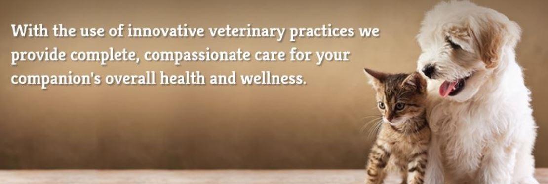 Centreville Square Animal Hospital