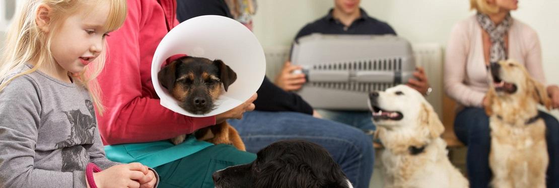 Sunset Animal Clinic | Miami FL