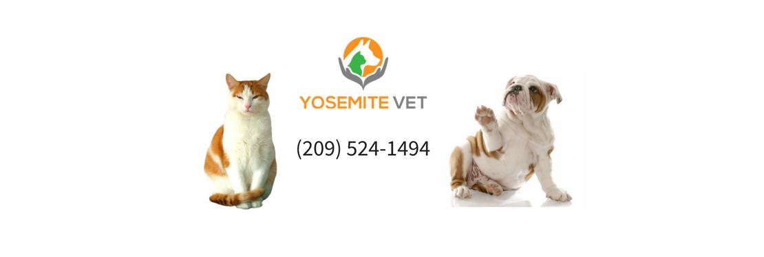 Yosemite Veterinary Hospital Modesto