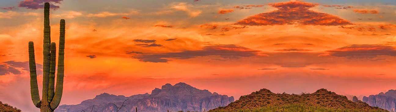 L & A Insurance Services