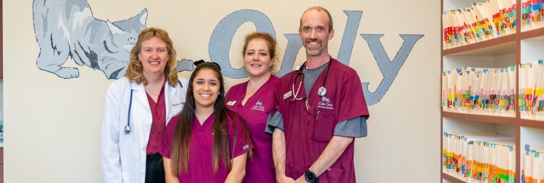 Cats Only Veterinary Hospital