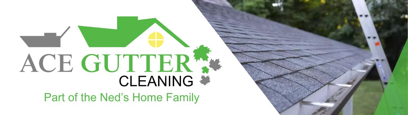 Ace Gutter Cleaning