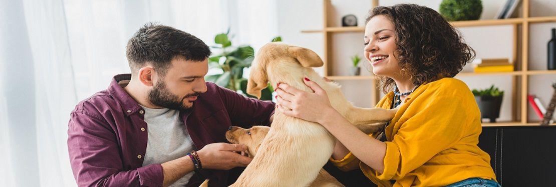 West Side Animal Clinic